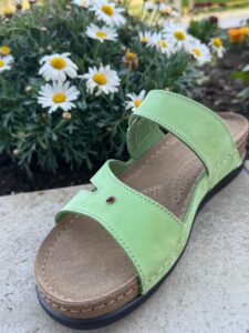 488659282_1166016651983963_2782843198869616741_n